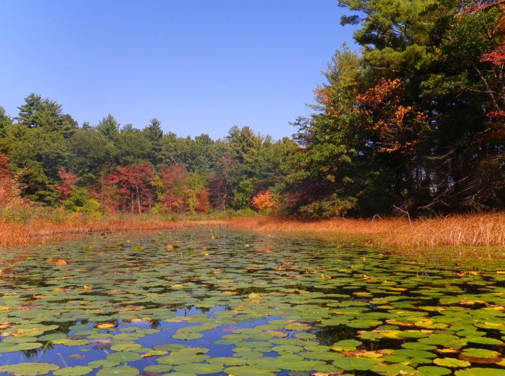 Hampton Ponds State Park, Massachusetts, USA